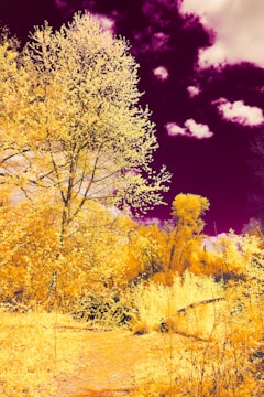 A colorful scene depicting a thrilling adventure.