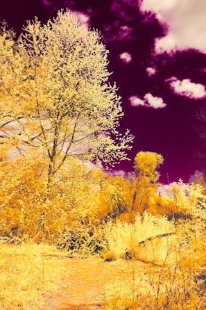 A beautiful mystical scene with violet and golden colors.