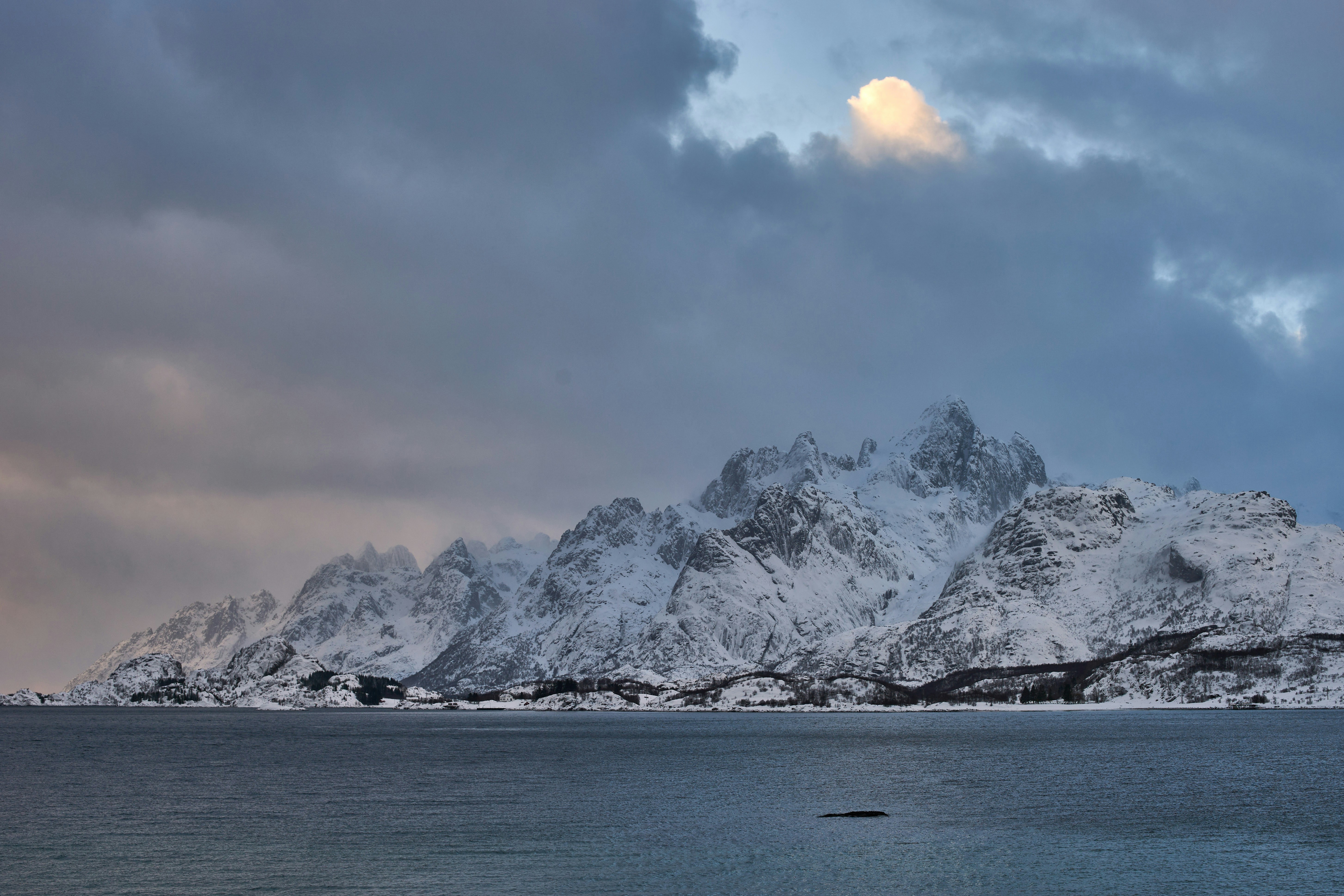 Photo by wolfgang_hasselmann