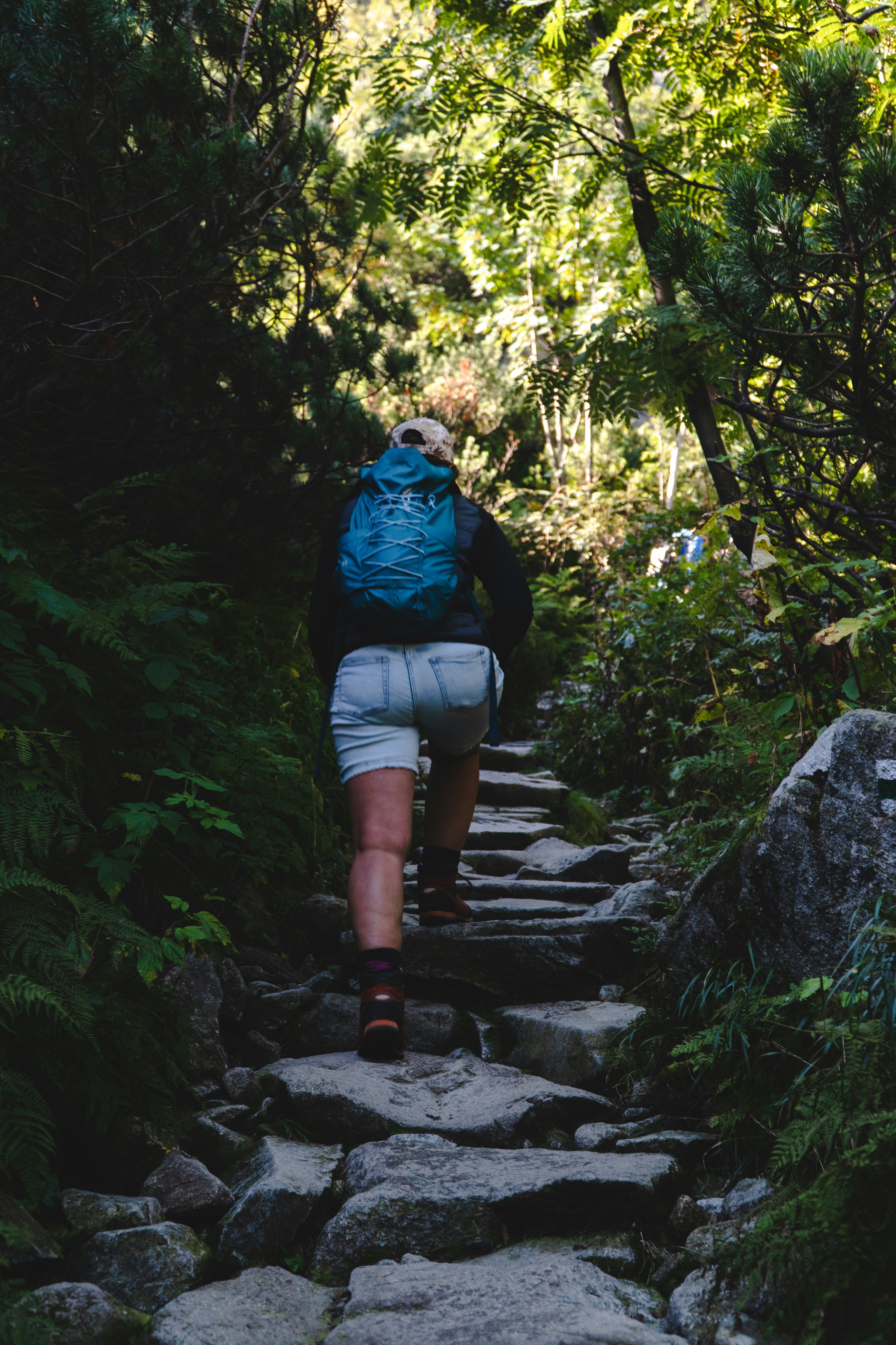 a person walking up a stone path in the woods