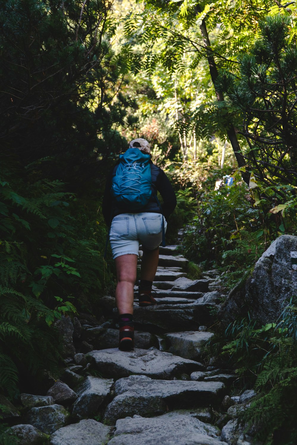 a person walking up a stone path in the woods