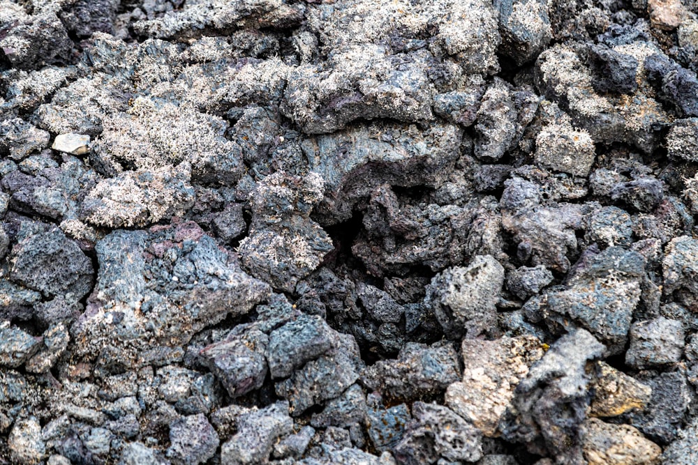 a close up of a pile of rocks