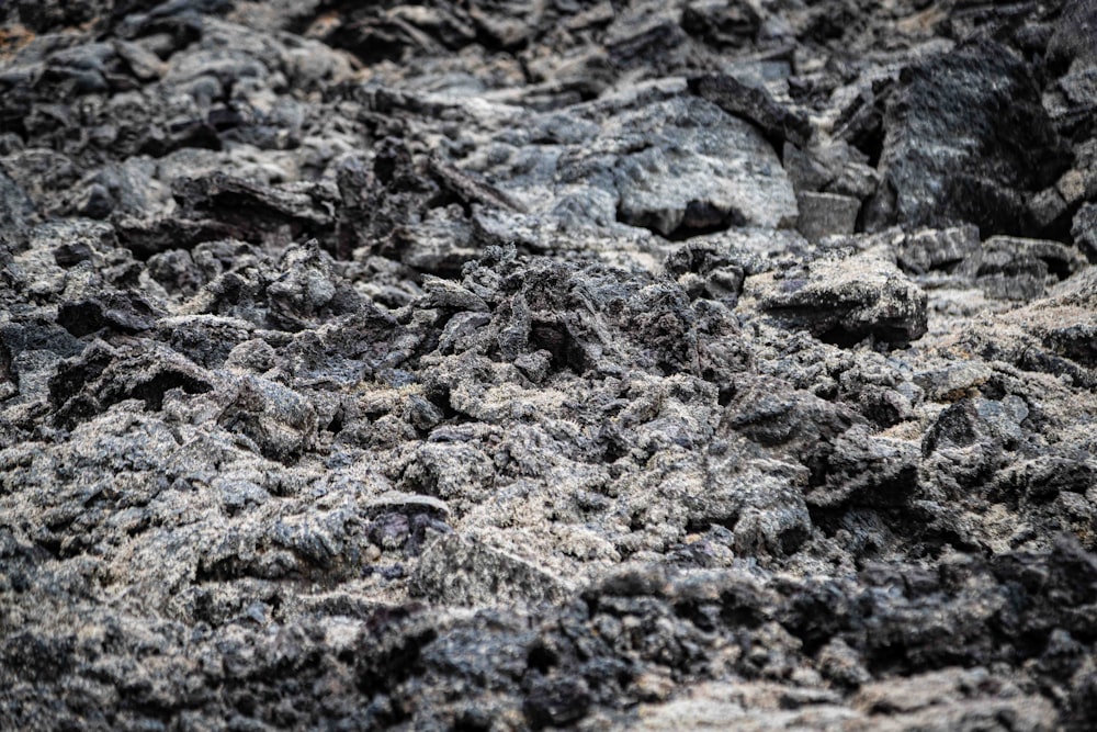 a close up of a rock surface with small rocks