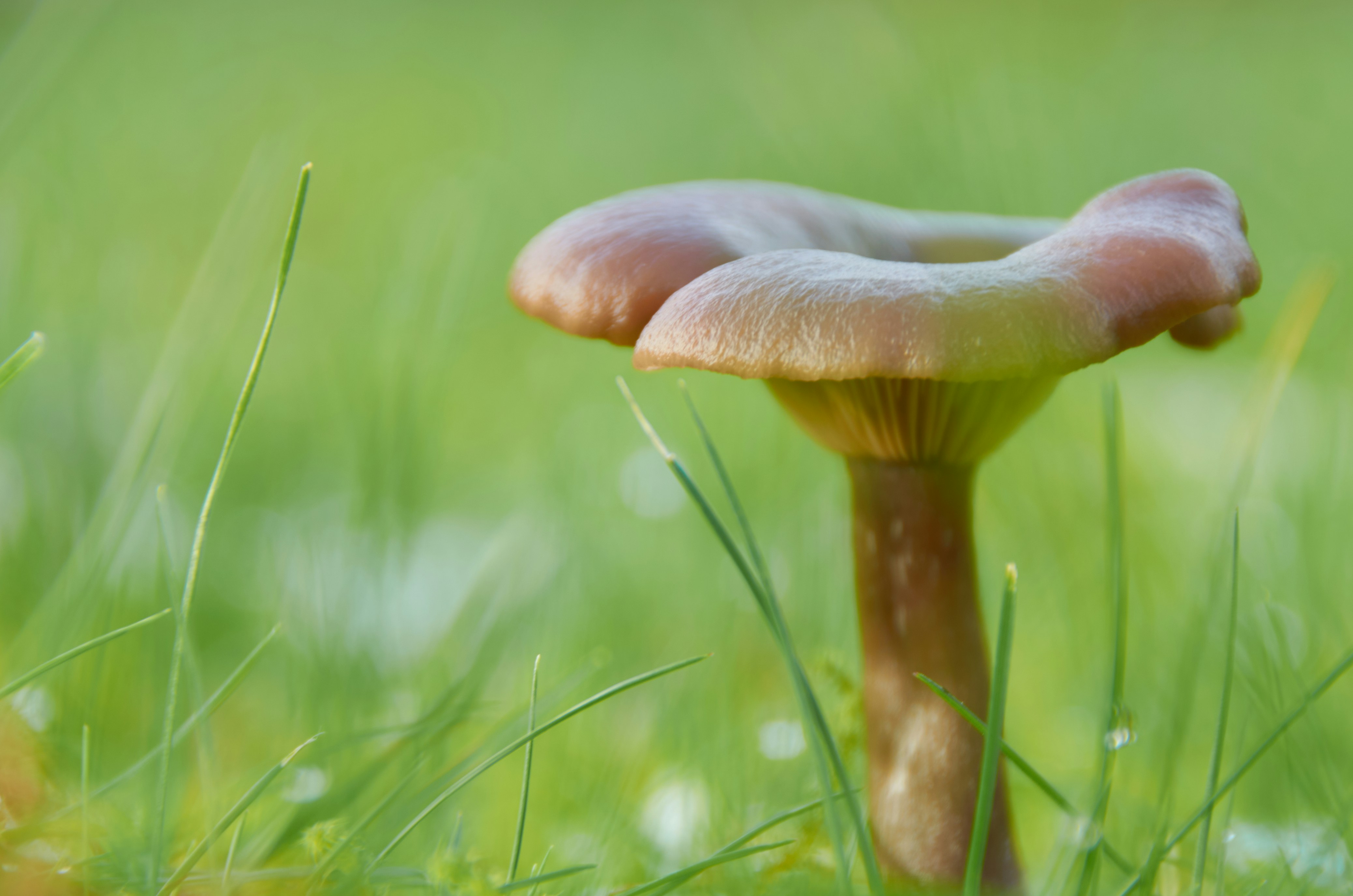 Photo by photofrederic70