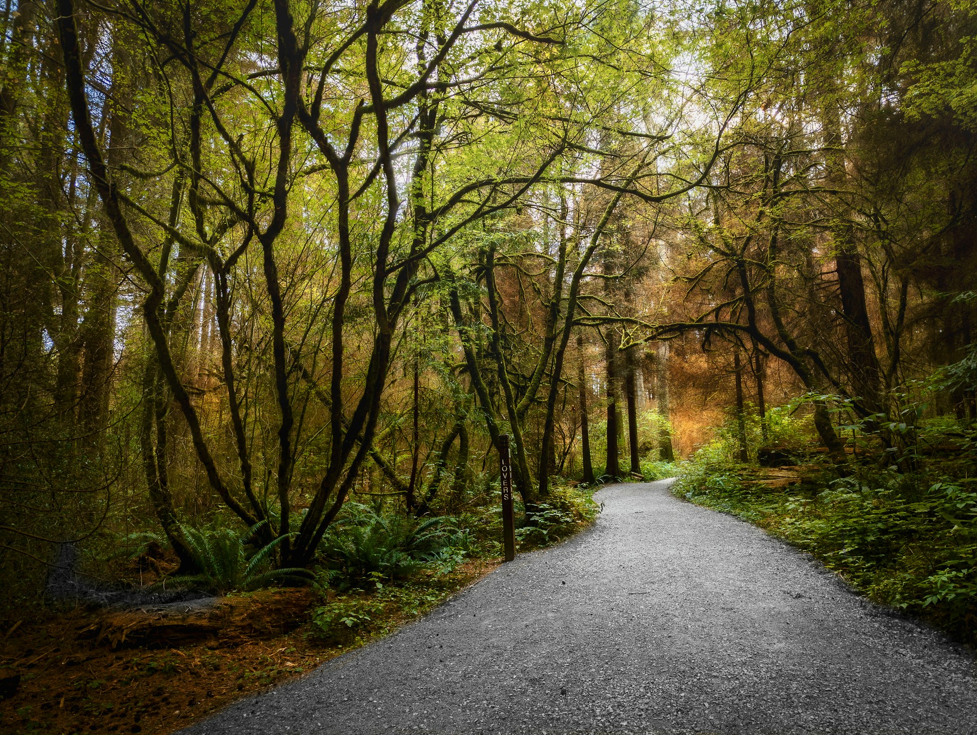 gray computer monitor