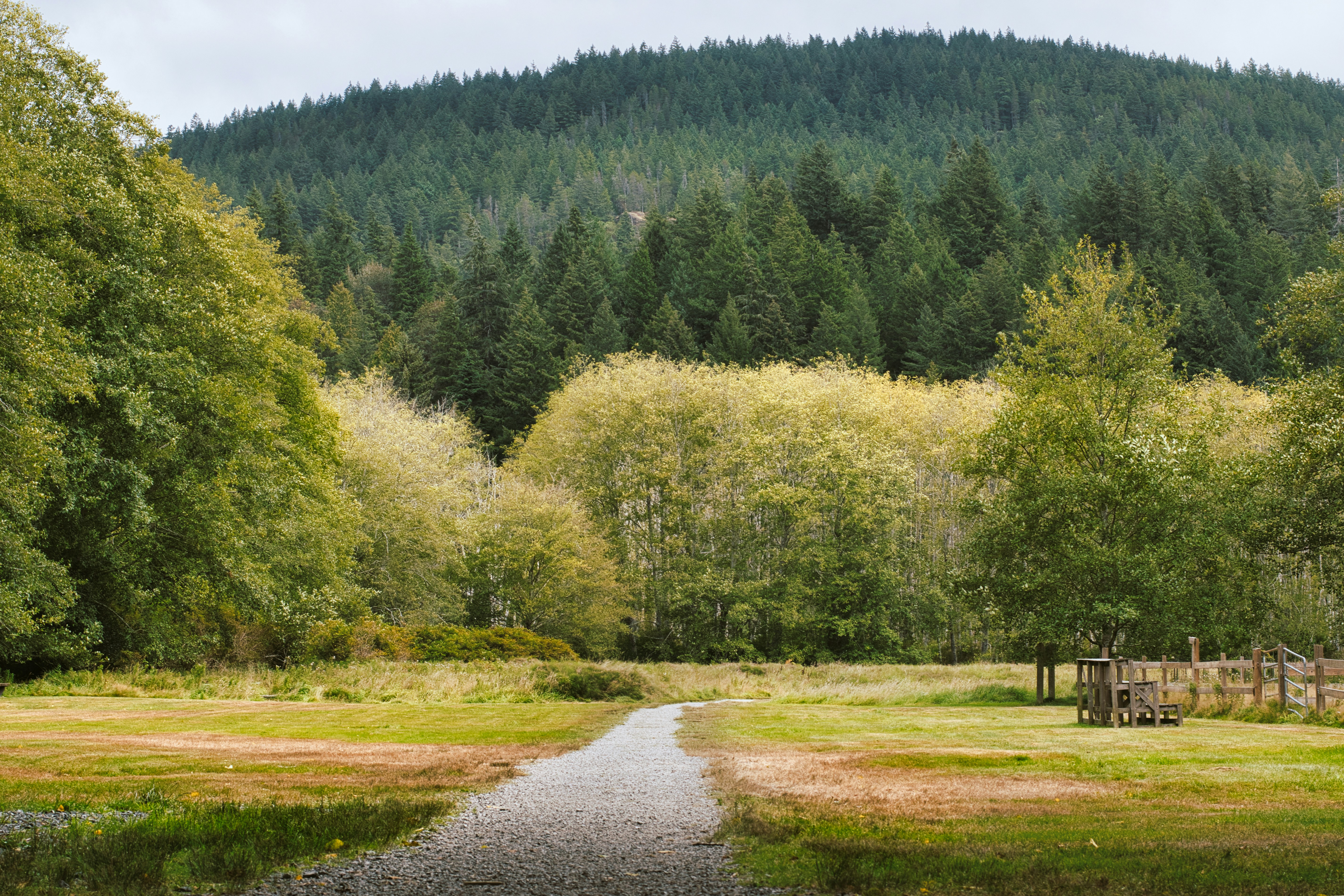 Photo by divyanksachdeva