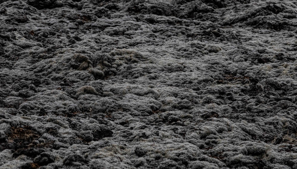 a close up of a pile of dirt