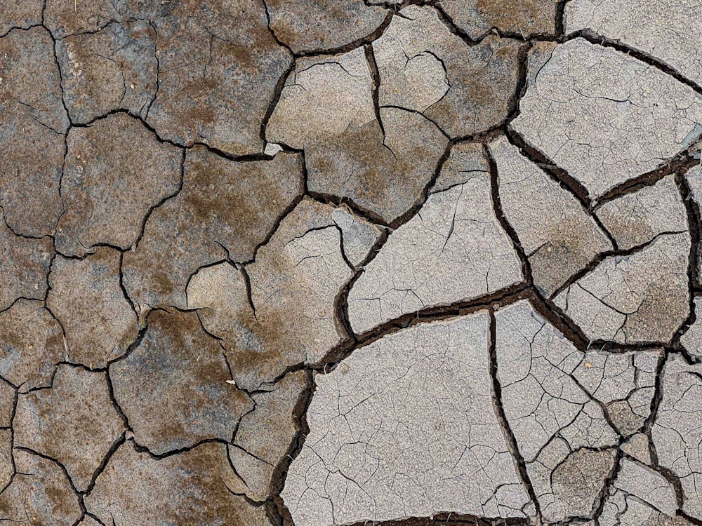 a close up of a cracked concrete surface