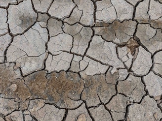 A cracked and parched surface of the ground, resembling a mosaic of irregular, angular shapes. The cracks form a network across the earth, with varying shades of gray and brown indicating dryness and lack of moisture.