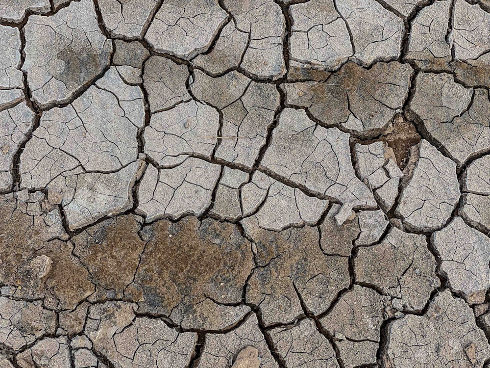 a close up of a cracked surface of dirt