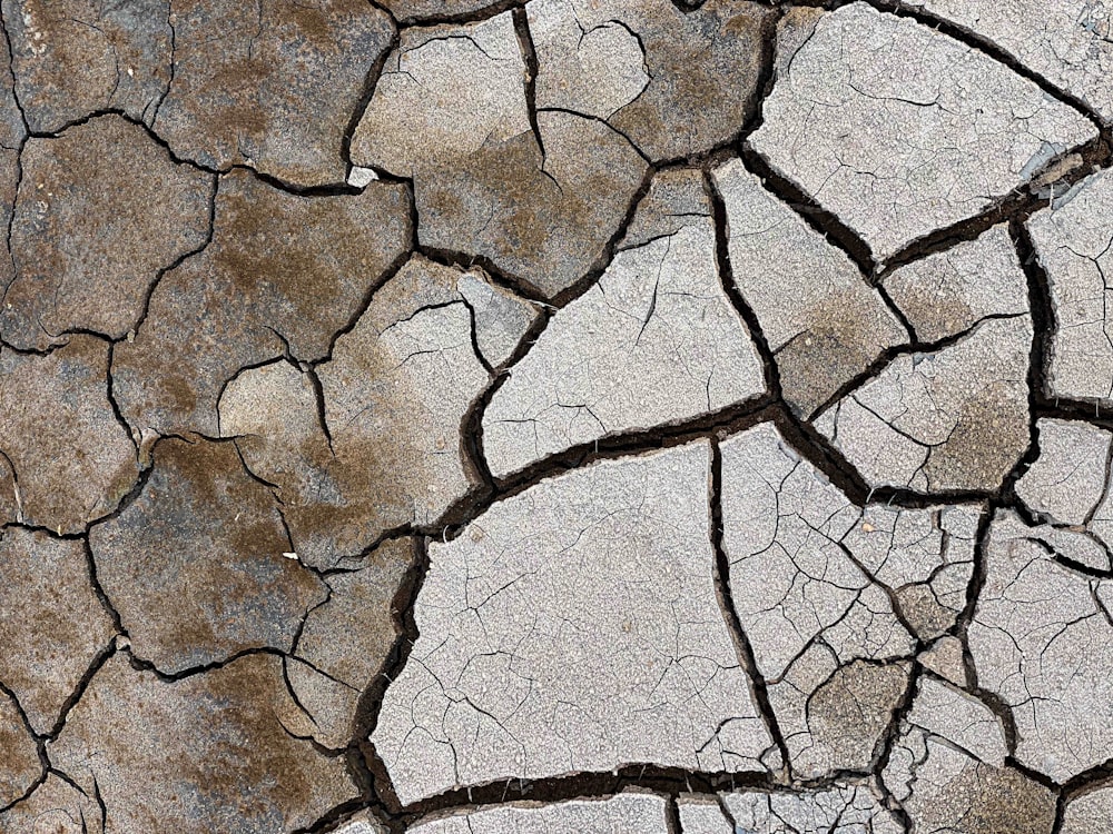 a close up of the cracks in the ground
