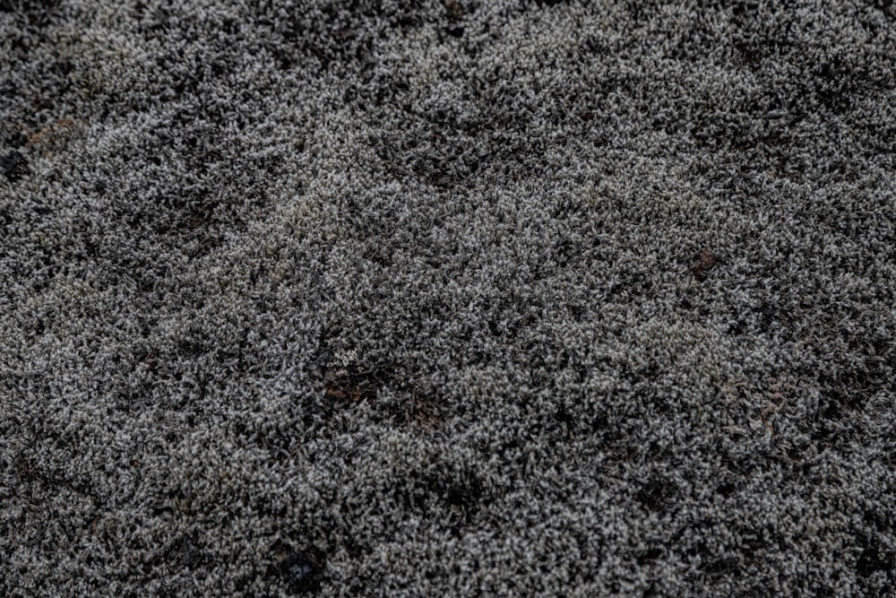 a close up of a gray carpet with small patches of dirt