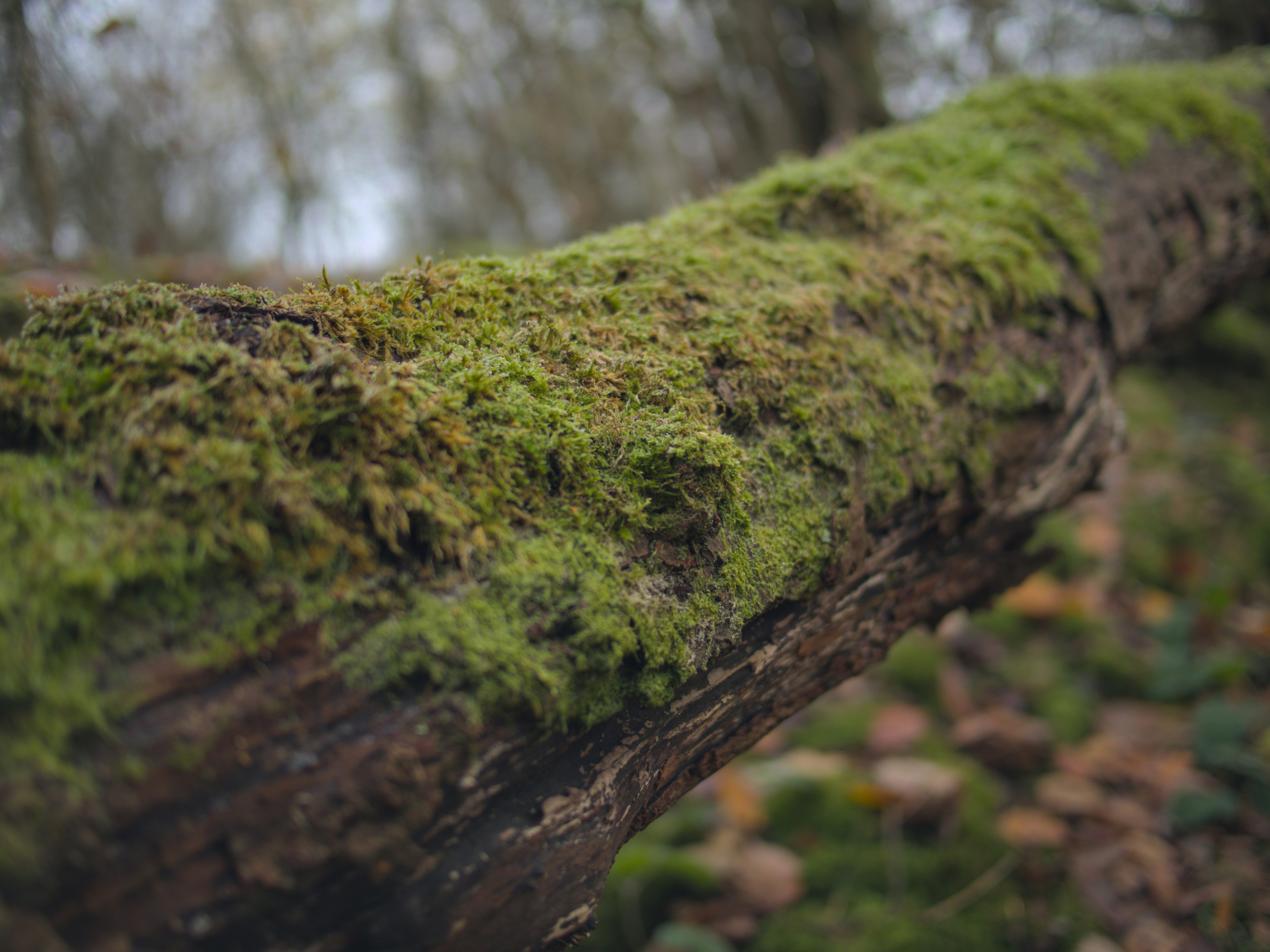 Photo by alexanderpharwood