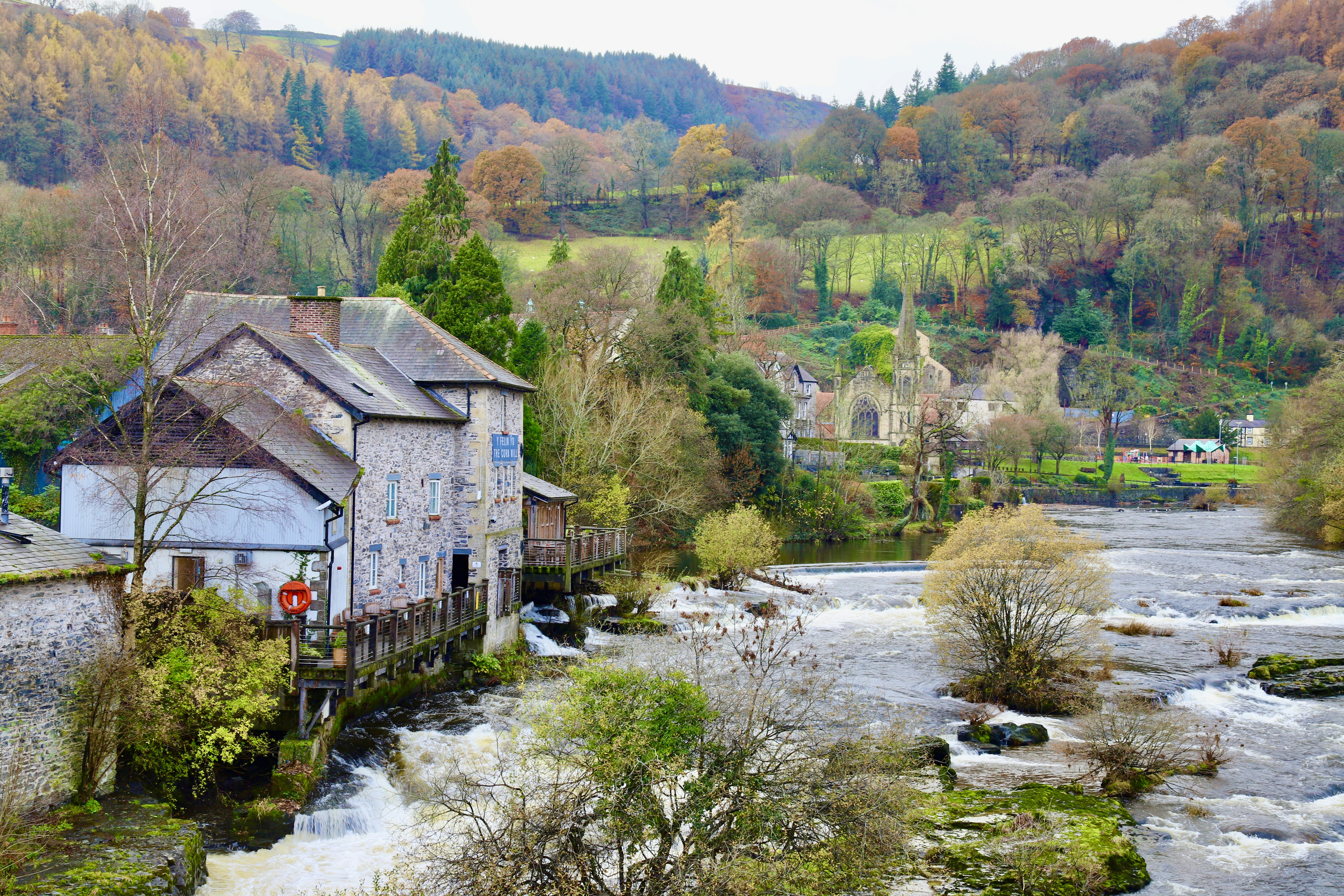 Photo by puffinadventures