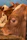 Close-up of cattle calmly resting under smart lighting in a spacious feedlot environment.