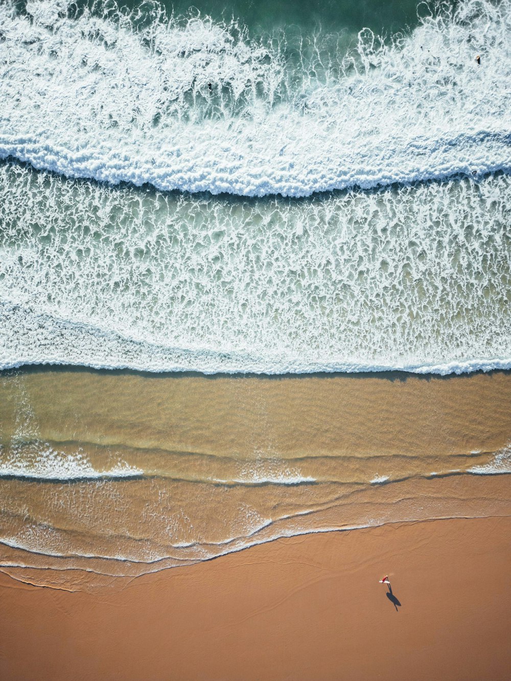 a bird flying over a beach next to the ocean