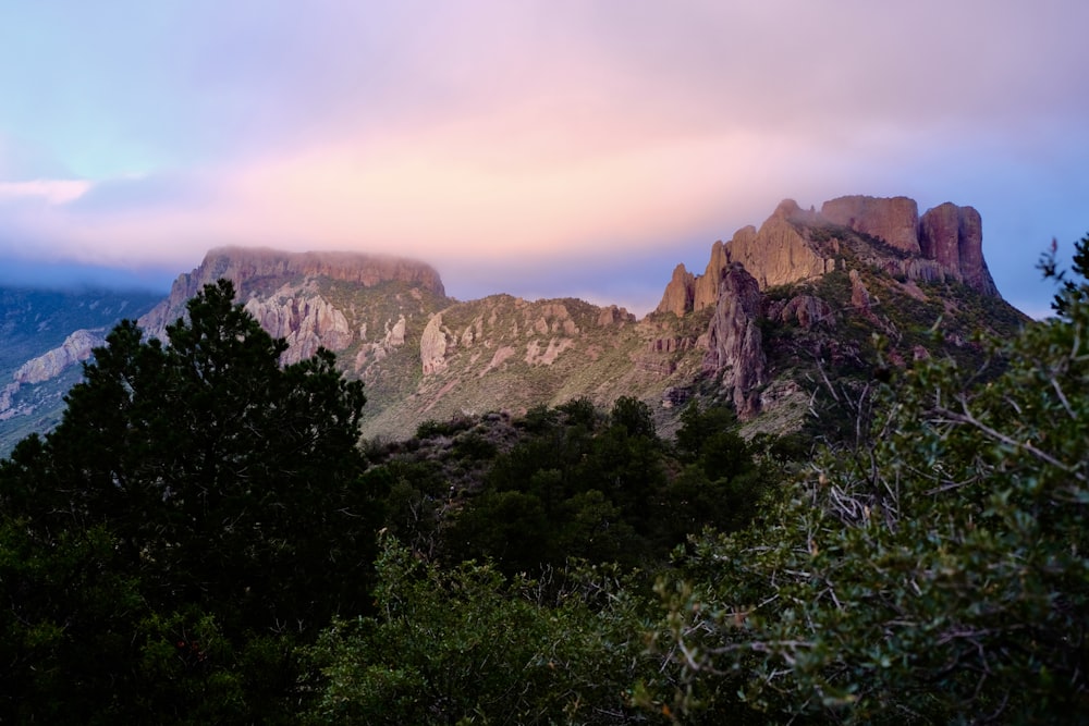 a view of a mountain range with trees in the foreground