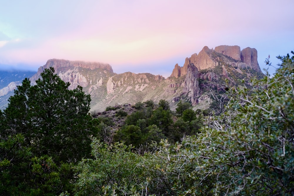 a view of a mountain range with trees in the foreground