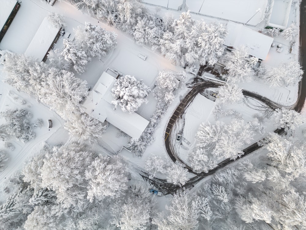 an aerial view of snow covered trees and roads