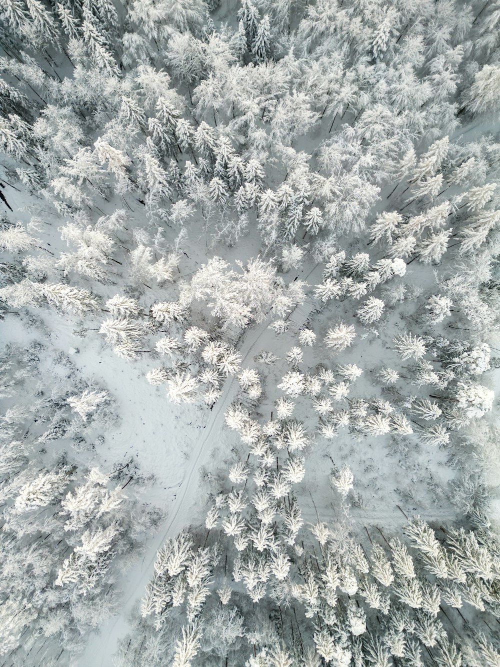 an aerial view of a snow covered forest