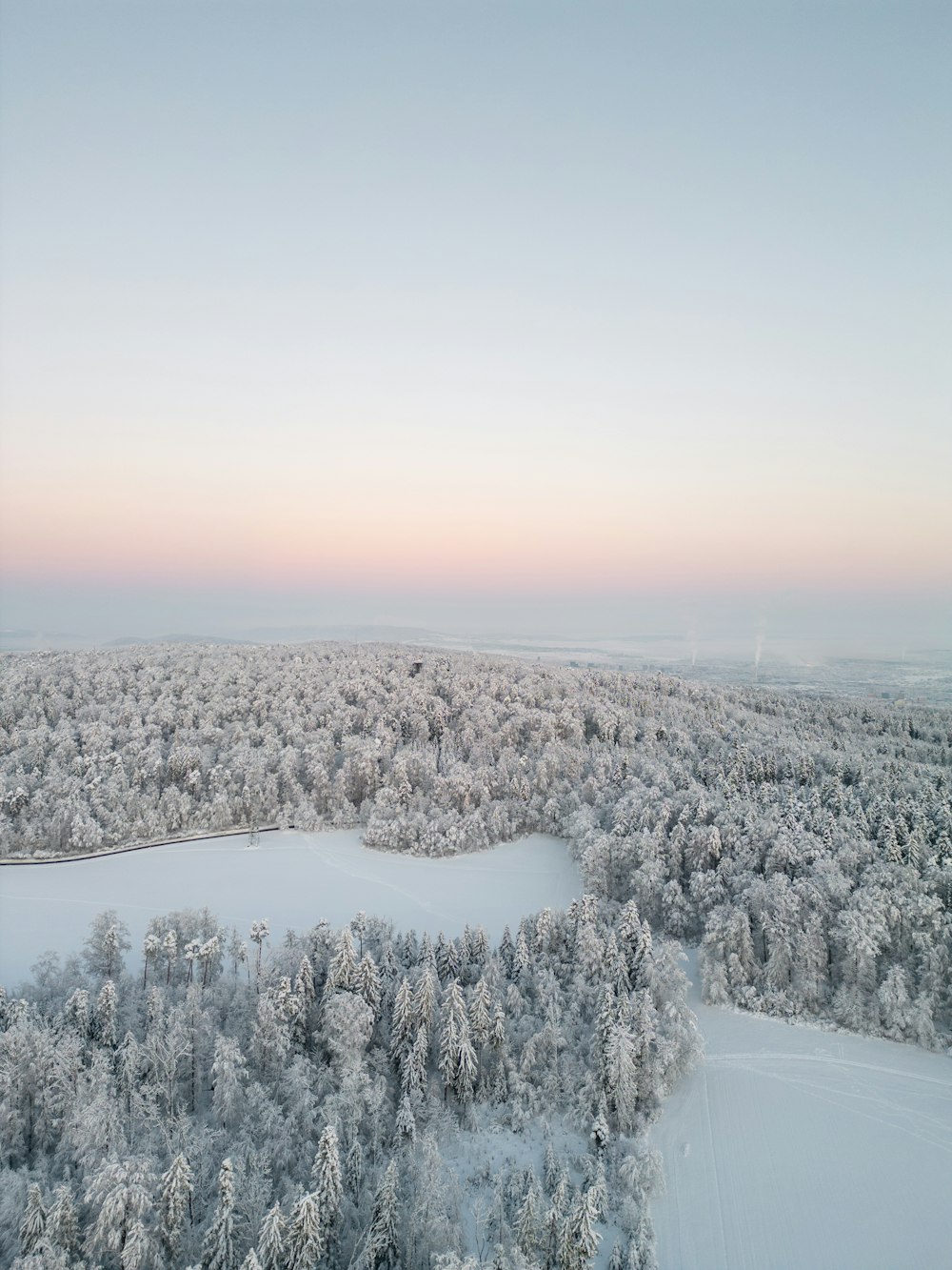 Una veduta aerea di alberi innevati e di un lago