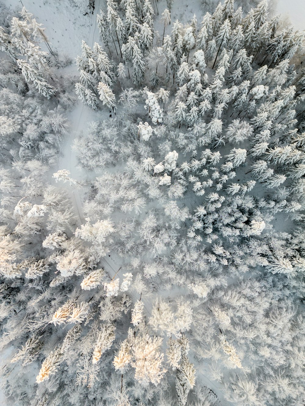 an aerial view of a snow covered forest