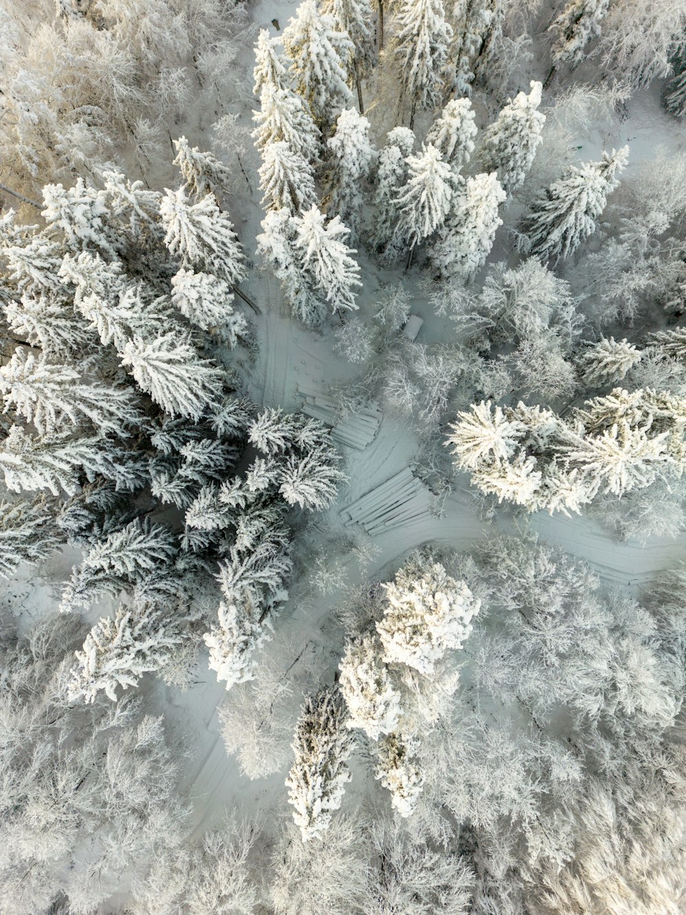 an aerial view of a snow covered forest