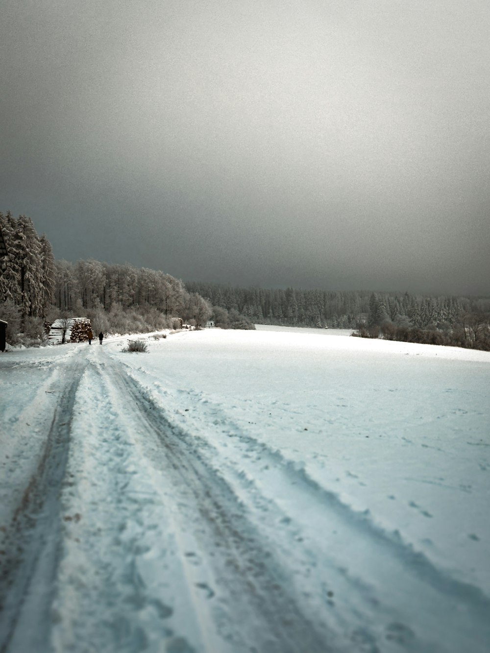 uma estrada coberta de neve com um cavalo ao longe
