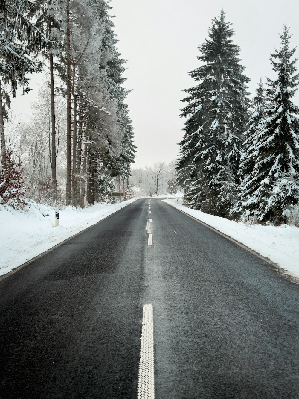 a road with snow on the ground and trees in the background