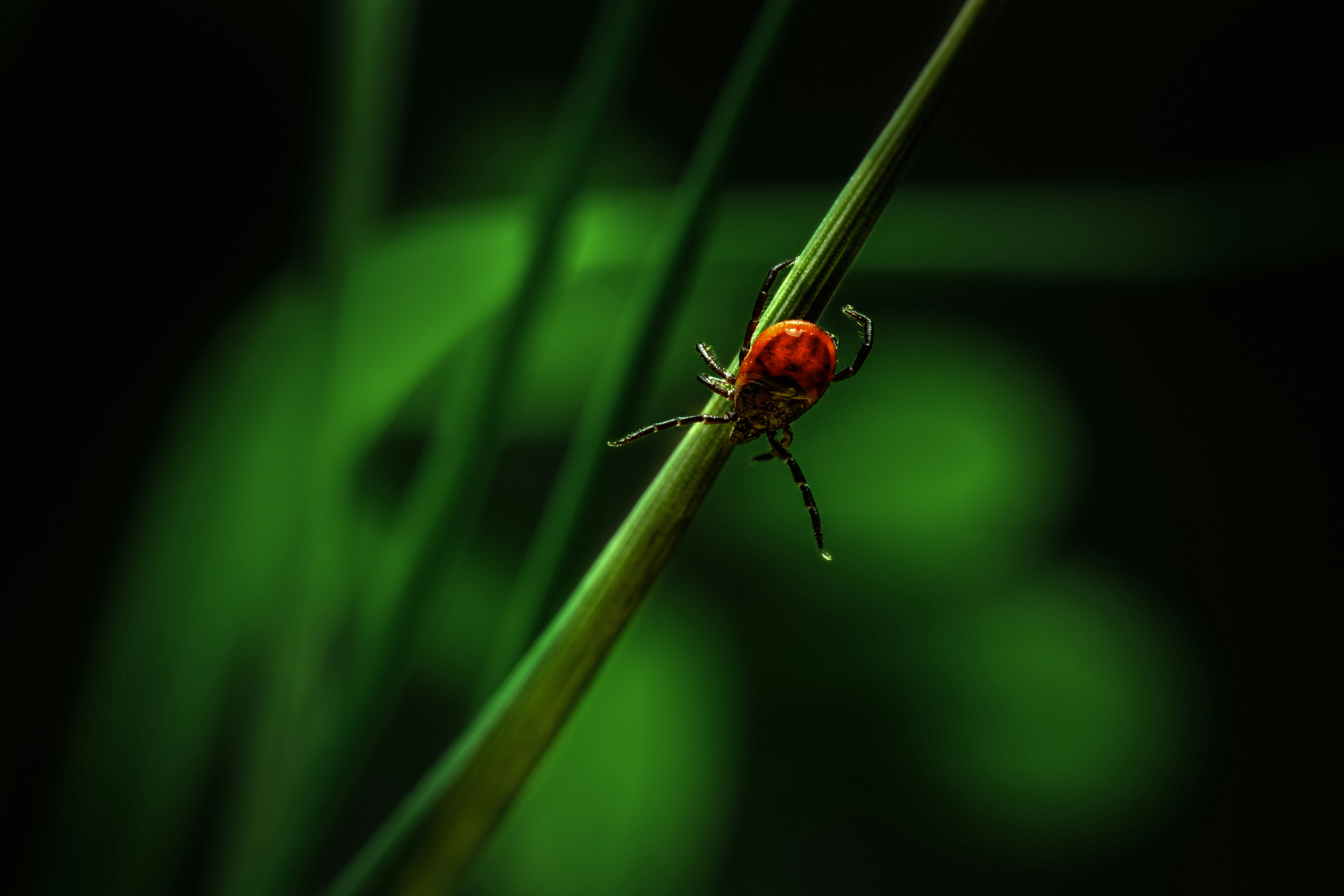 Photo by erik_karits