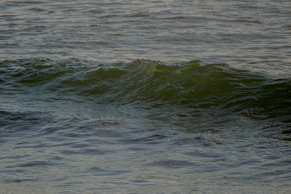 una gran masa de agua con olas