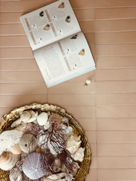A set of colorful búzios shells arranged on a wooden table for spiritual reading.