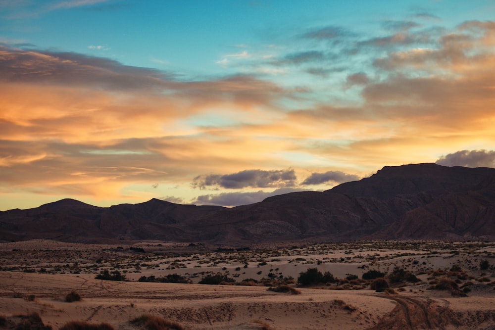 a desert landscape with mountains in the background