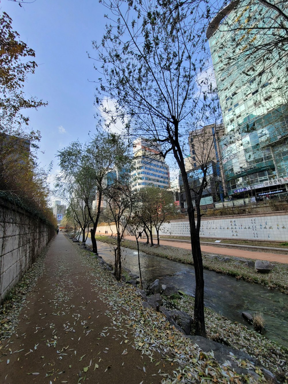 a city street lined with trees next to a river