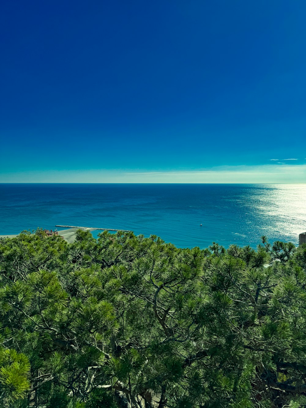 a view of the ocean from a hill top