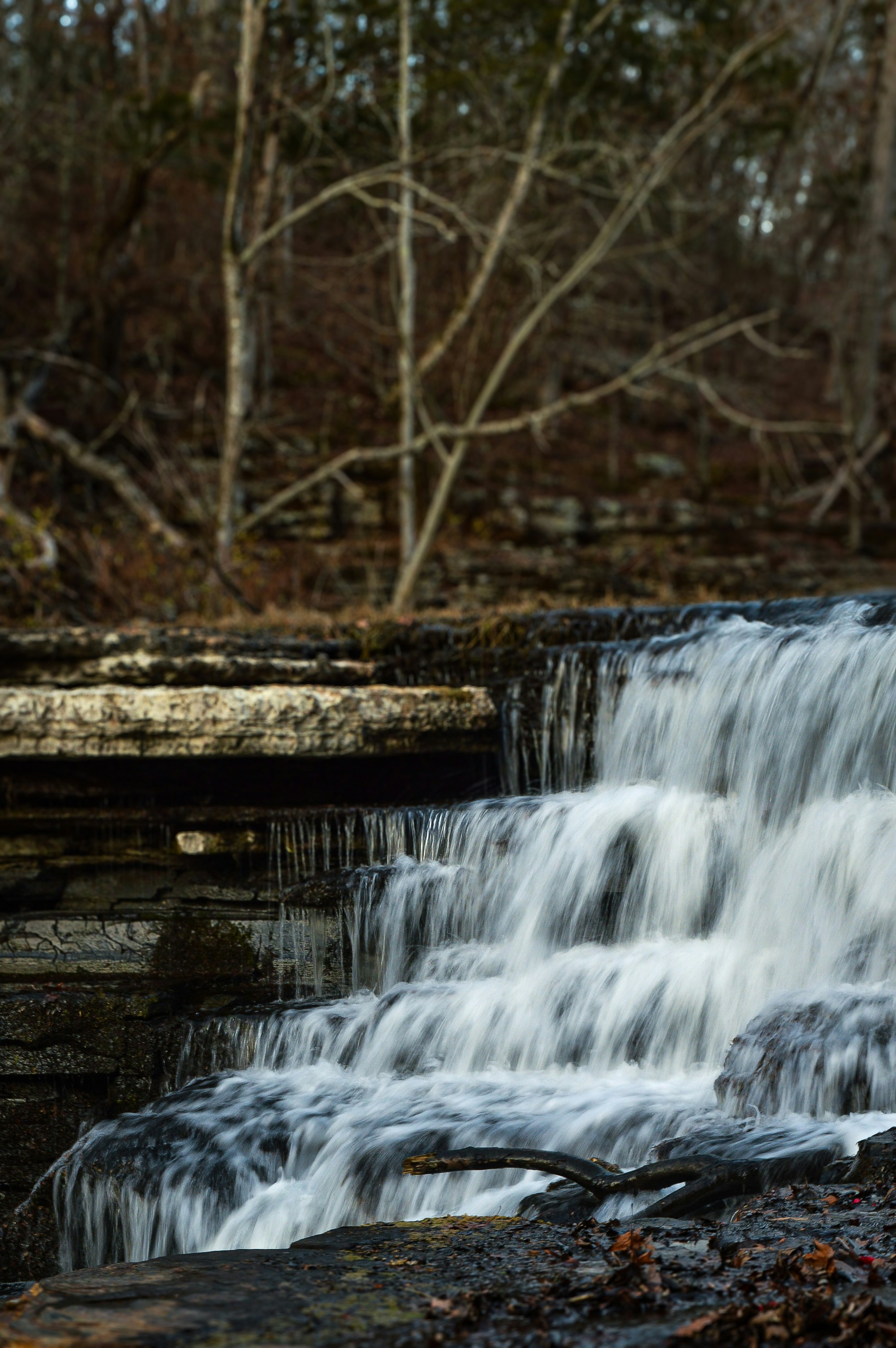 Photo by nitrousparrot