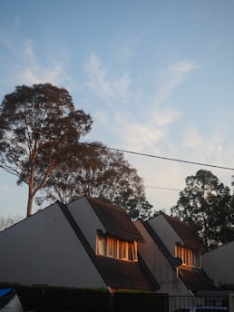 Several triangular-roofed houses with sunlight illuminating the windows are set against a backdrop of tall trees and a clear sky. The scene captures a peaceful, suburban neighborhood as the day transitions to evening. A single power line runs horizontally across the upper portion of the image.