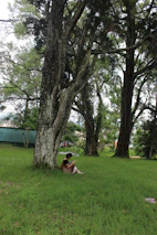 A cozy setup with a person reading fascinating facts on a tablet, surrounded by nature.