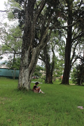 A serene nature scene with a person reading an ebook on a tablet while sitting under a large tree.