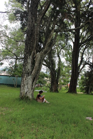 A serene outdoor scene with a person reading a finance blog on a tablet.