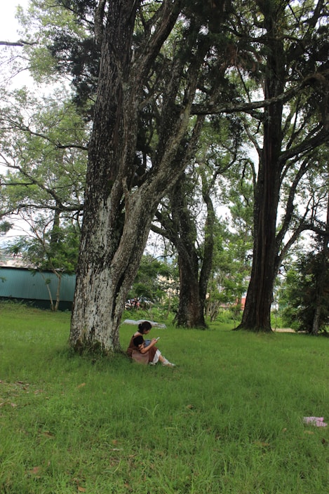 A person reading news on a tablet outdoors, surrounded by nature.