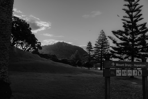 A scenic landscape featuring a natural park area with rolling grassy hills and tall pine trees. A distant mountain is visible under a partly cloudy sky. Birds are flying above, and a large wooden sign in the foreground displays park information with icons indicating various facilities.
