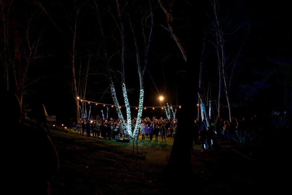 a group of people standing around a forest at night