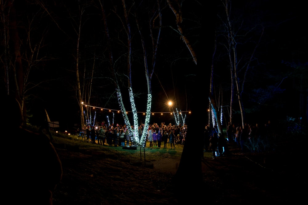 un groupe de personnes debout autour d’une forêt la nuit