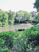 A tranquil pond surrounded by lush greenery, with a small circular structure in the middle covered with aquatic plants. Tall trees line the background, creating a serene natural setting.