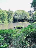 A tranquil pond surrounded by lush greenery, with a small circular structure in the middle covered with aquatic plants. Tall trees line the background, creating a serene natural setting.