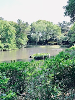 A tranquil pond surrounded by lush greenery, with a small circular structure in the middle covered with aquatic plants. Tall trees line the background, creating a serene natural setting.