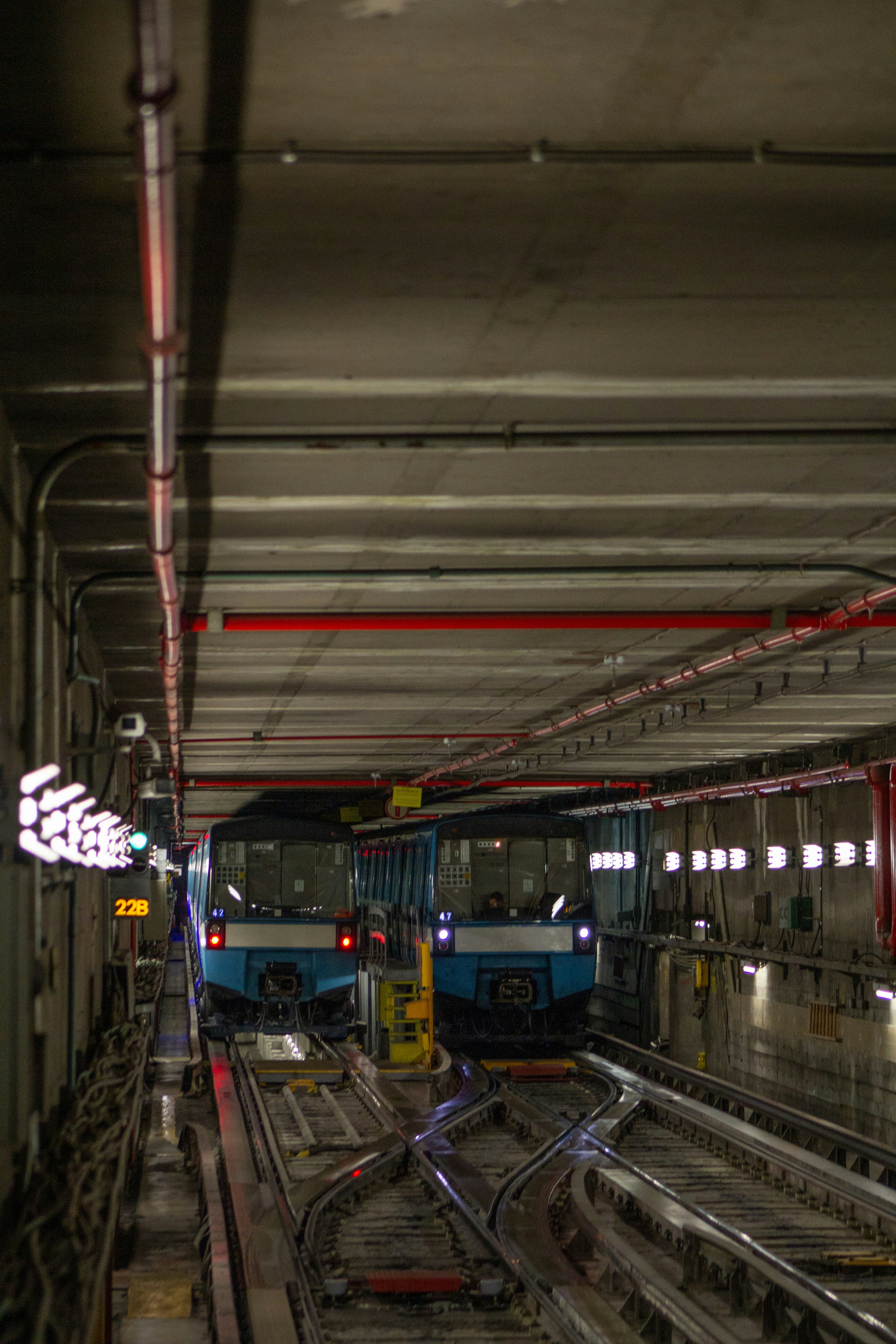 Progress on Dubai's Infrastructure: The Dubai Loop, Metro Blue Line, and Private Sector AI Initiatives
