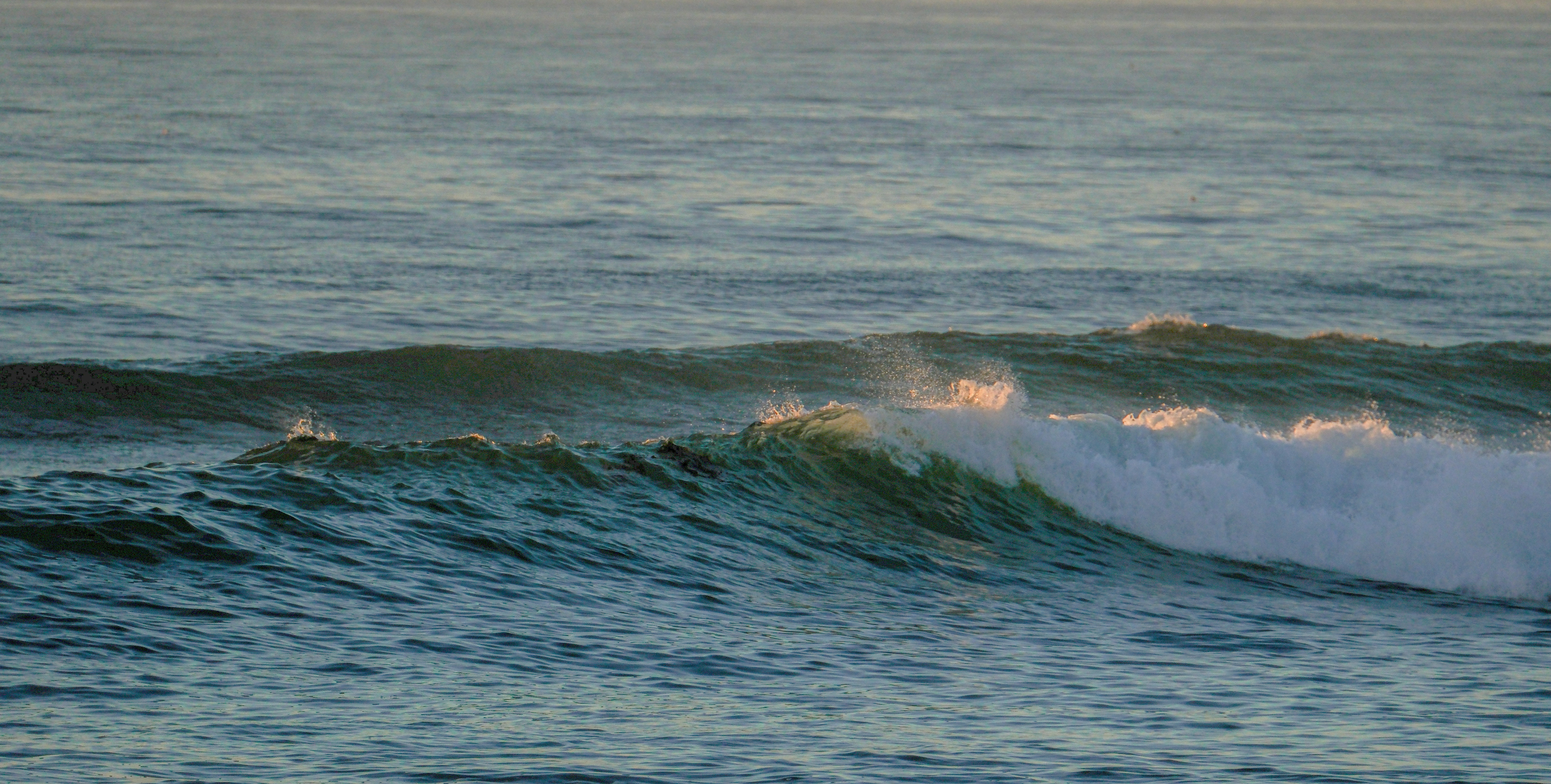 Photo by cestmoisheedy