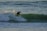 A surfer in a wetsuit is riding a wave in the ocean, skillfully balancing on the surfboard as the water splashes around them. The scene captures the dynamic motion and energy of surfing in an expansive seascape.